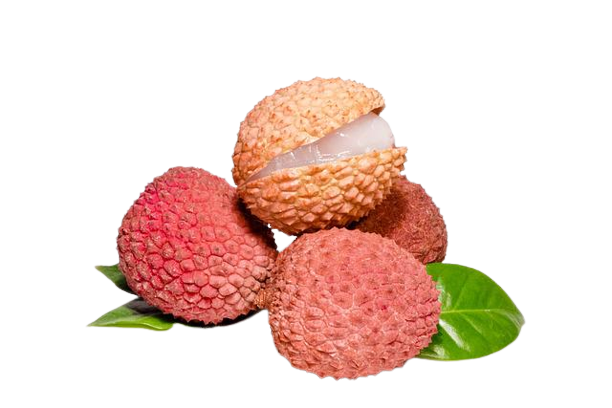 Diamond Compot lychee