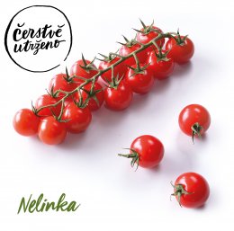 Čerstvě utrženo - Rajčátka cherry na větvičce odr. Nelinka, střapec