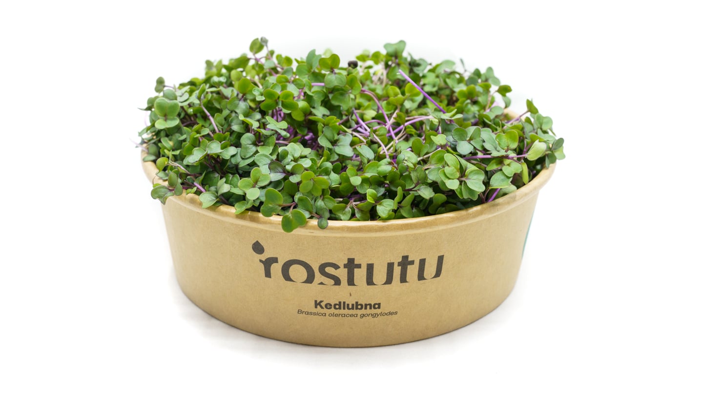 Microgreens kedlubna, vanička