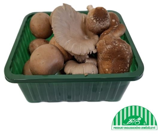 BIO Směs pěstovaných hub (Trimix), vanička