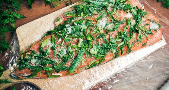 Losos gravad lax